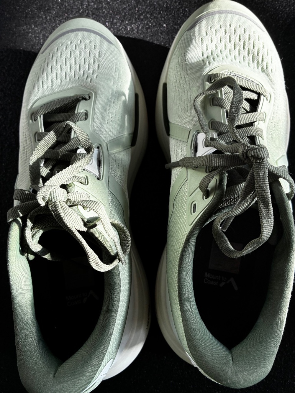 Mount to Coast shoes